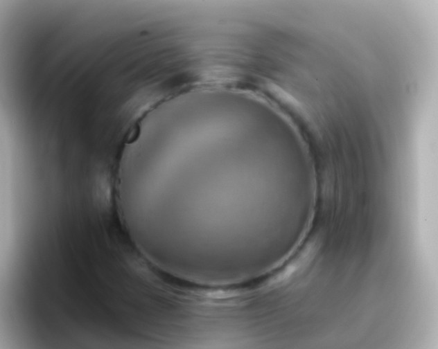 X0000096691401200802121223