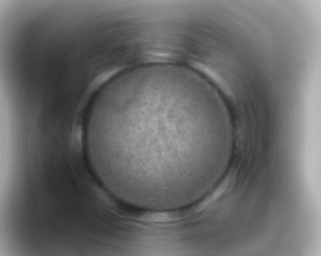 X0000096691402200802121223