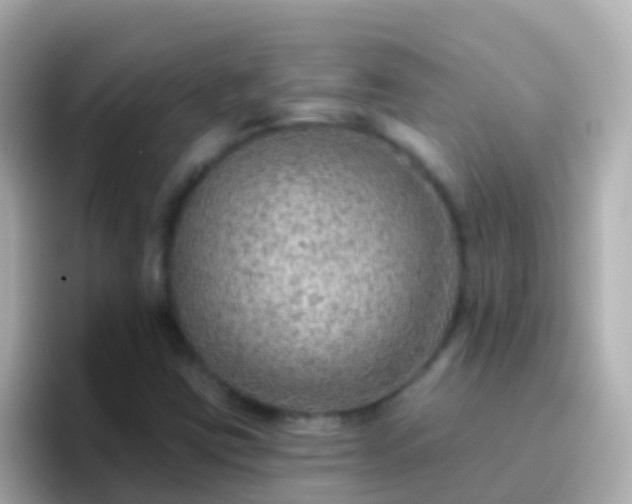 X0000096691403200802121223