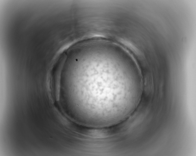 X0000096691404200802121223