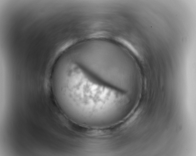 X0000096691405200802121223