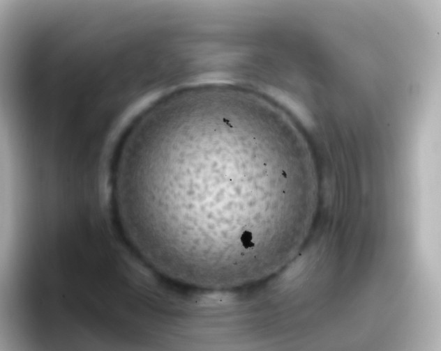 X0000096691406200802121223