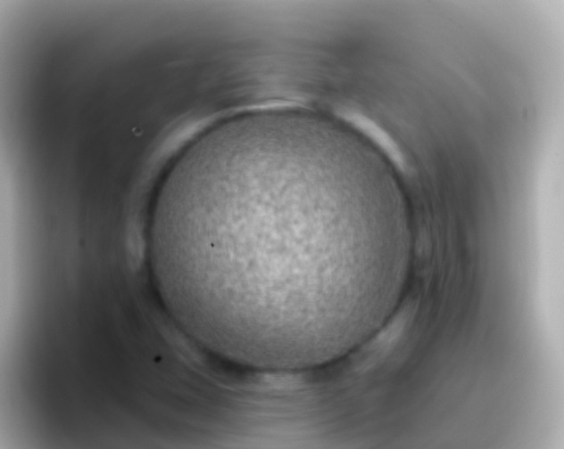 X0000096691407200802121223