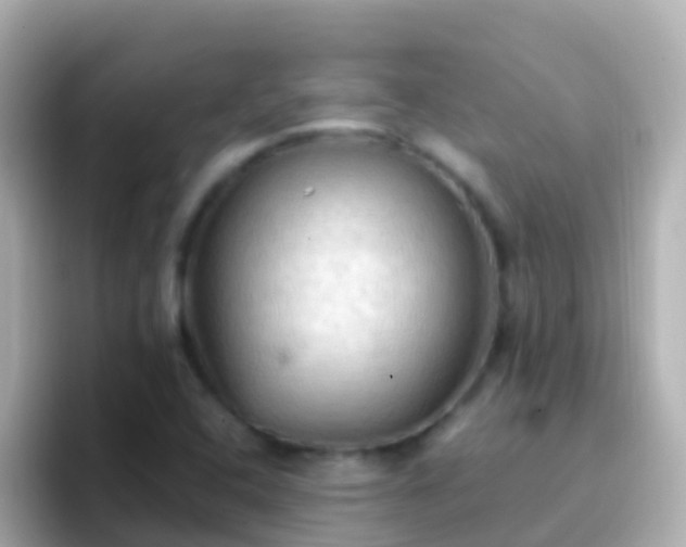 X0000096691408200802121223