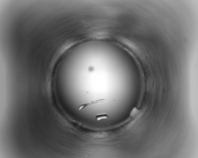 X0000096691410200802121223