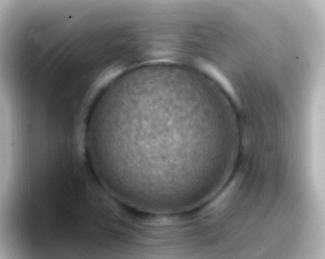 X0000096691411200802121223