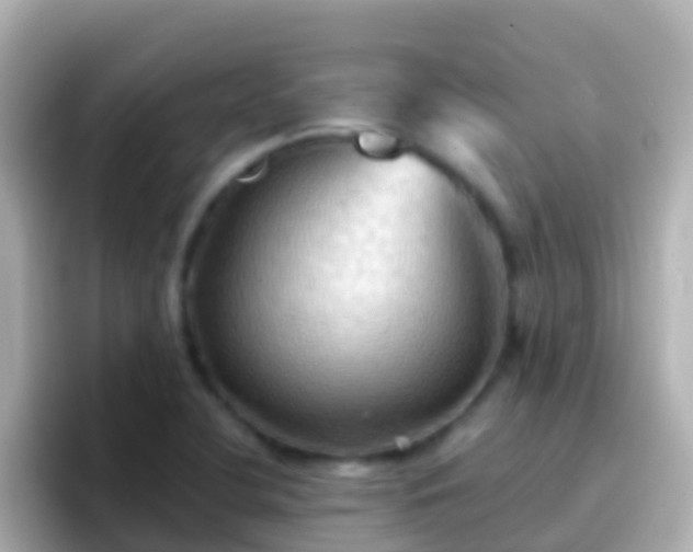 X0000096691412200802121223