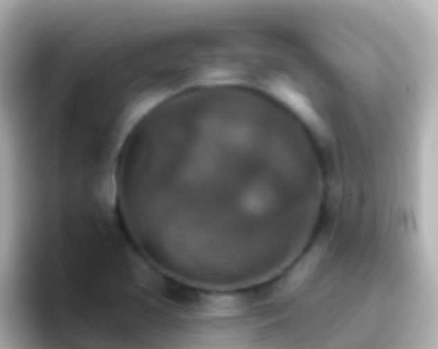 X0000096691413200802121223