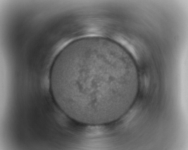 X0000096691415200802121223