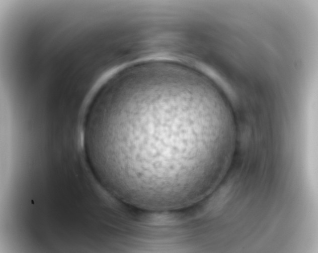 X0000096691416200802121223