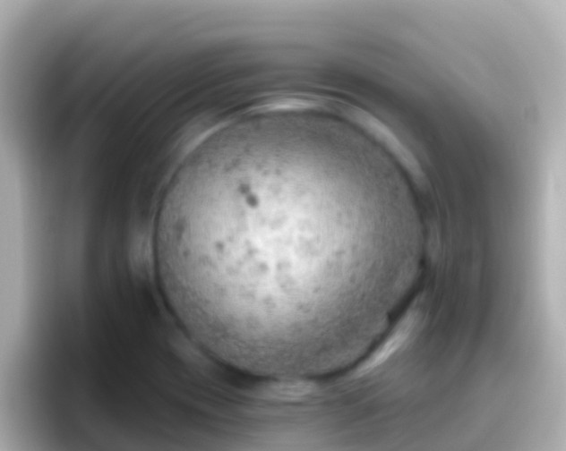 X0000096691417200802121223