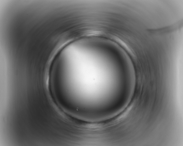 X0000096691418200802121223