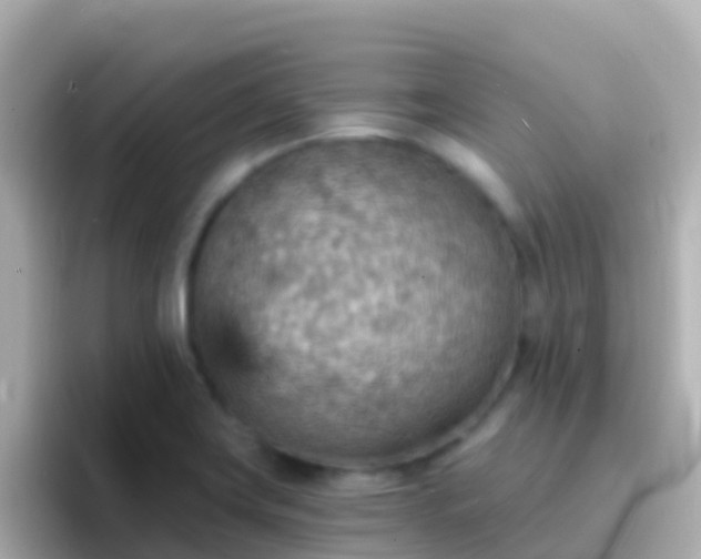 X0000096691419200802121223