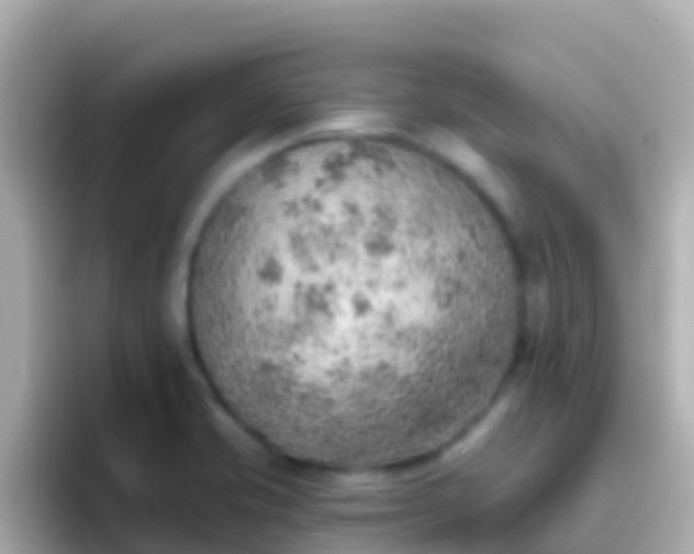 X0000096691421200802121223