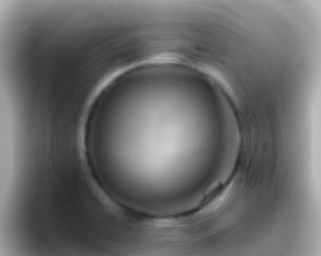 X0000096691422200802121223