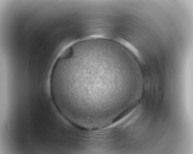 X0000096691423200802121223