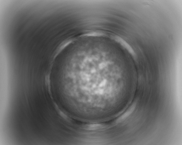 X0000096691425200802121223