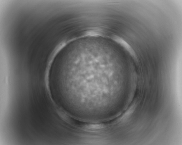 X0000096691427200802121223