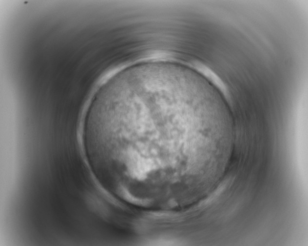 X0000096691429200802121223