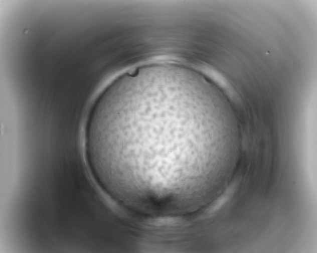 X0000096691430200802121223