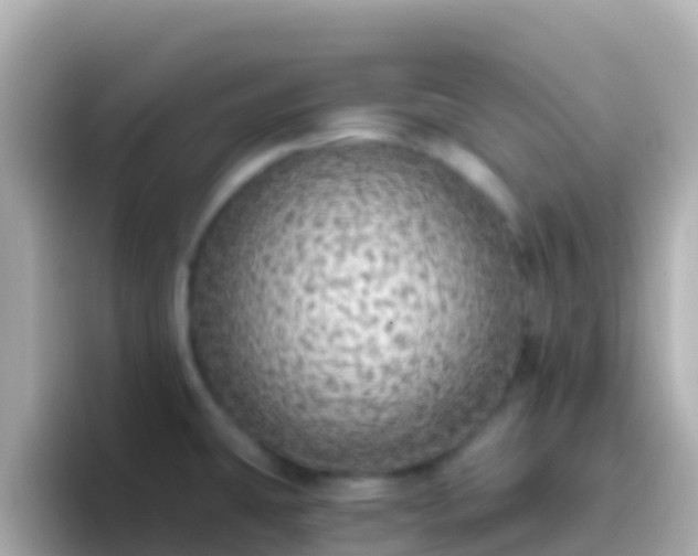 X0000096691431200802121223