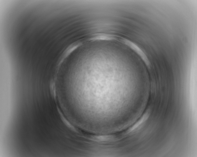 X0000096691433200802121223