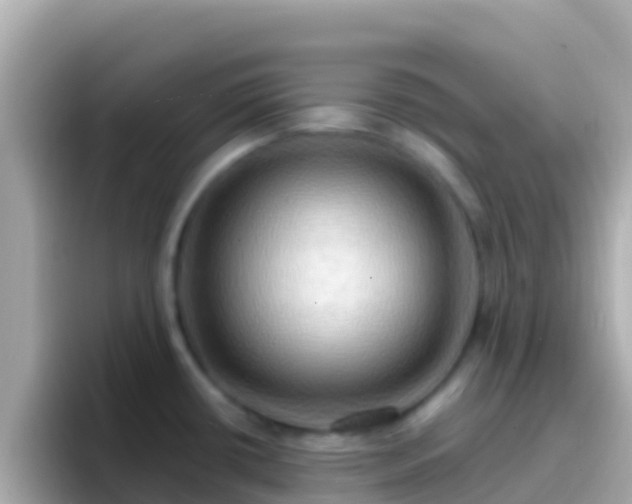 X0000096691434200802121223