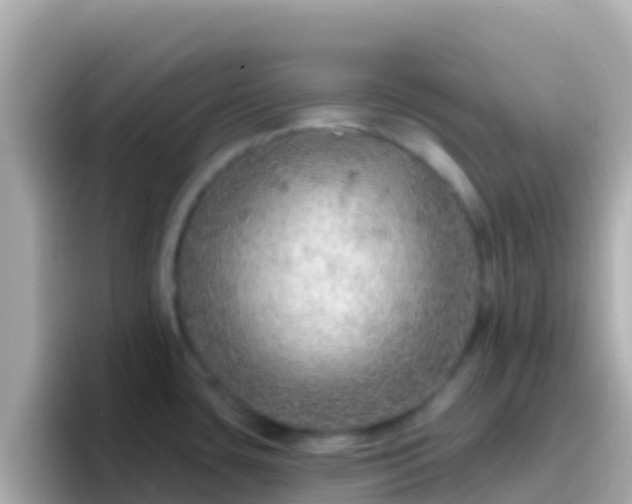 X0000096691435200802121223