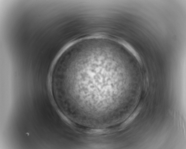 X0000096691438200802121223