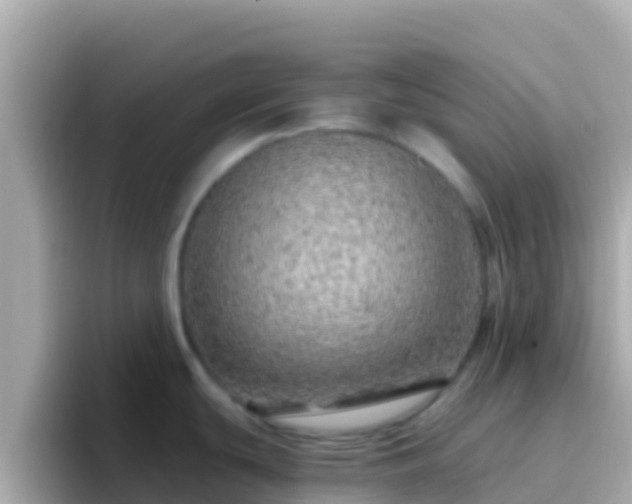 X0000096691439200802121223