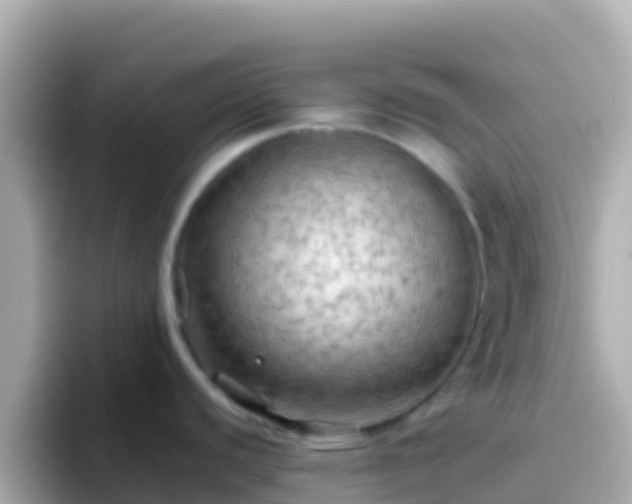 X0000096691440200802121223