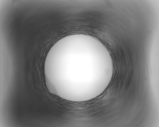 X0000096691441200802121222