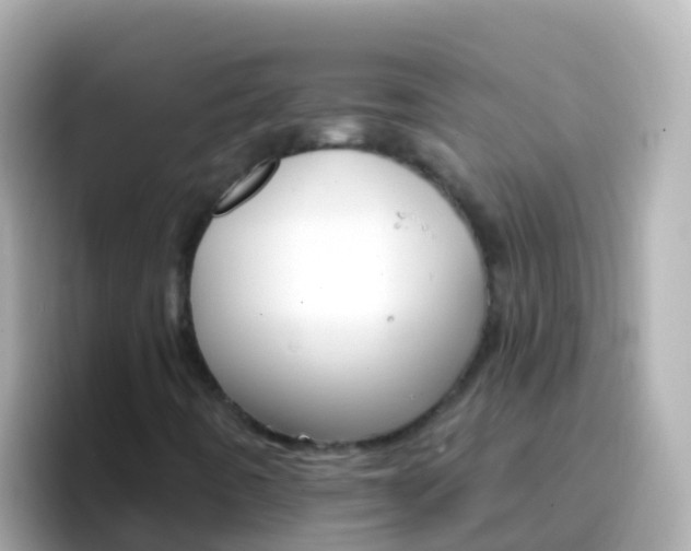 X0000096691442200802121222