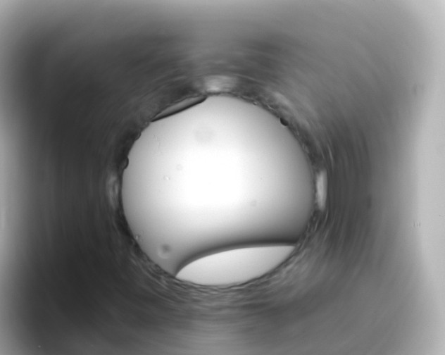 X0000096691443200802121222