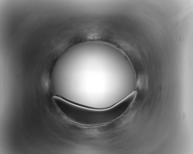 X0000096691444200802121222