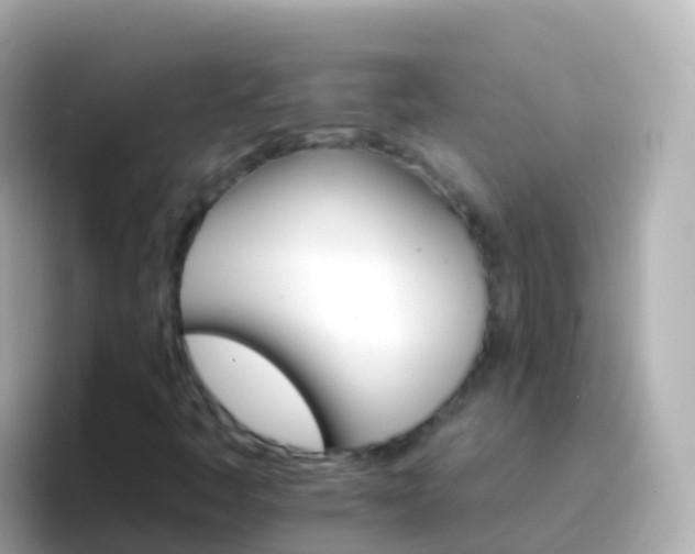 X0000096691445200802121222