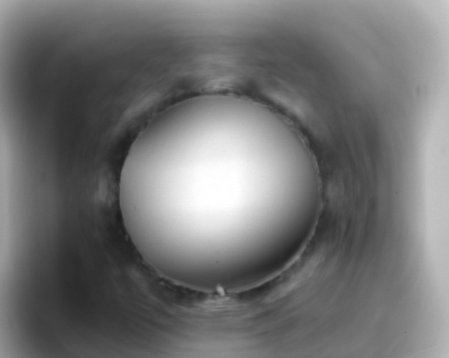 X0000096691447200802121222