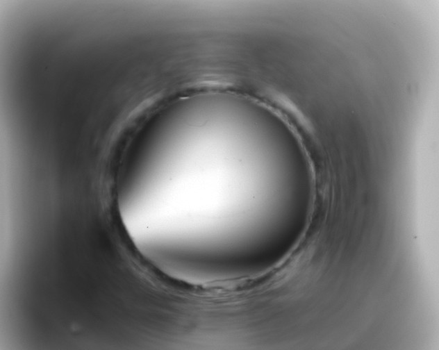 X0000096691448200802121222