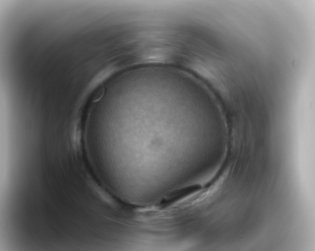 X0000096691450200802121222