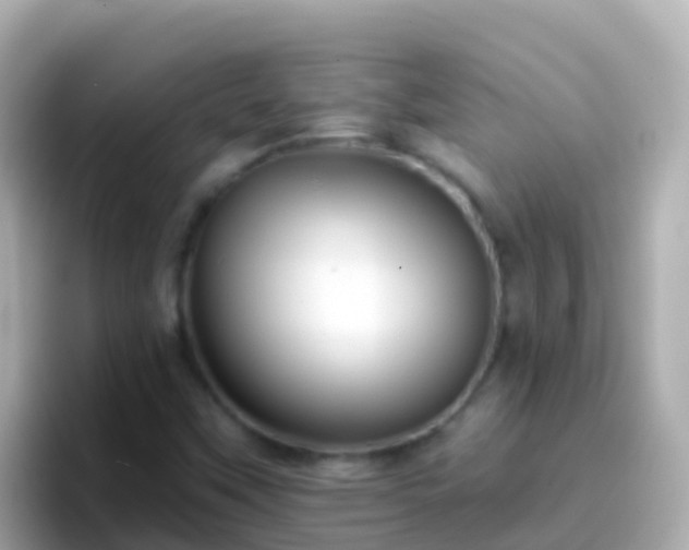 X0000096691451200802121222