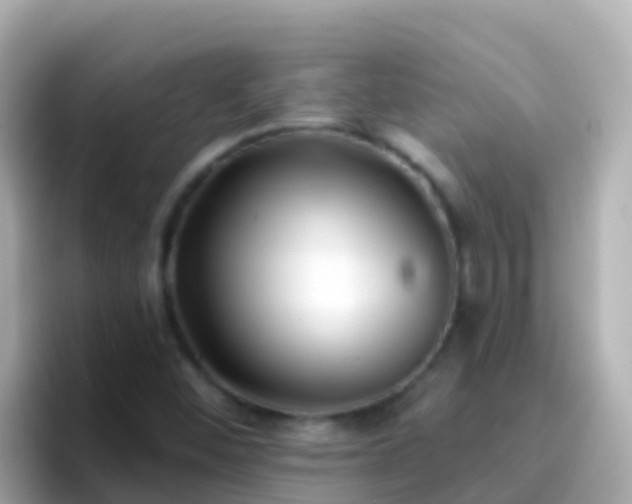 X0000096691452200802121222