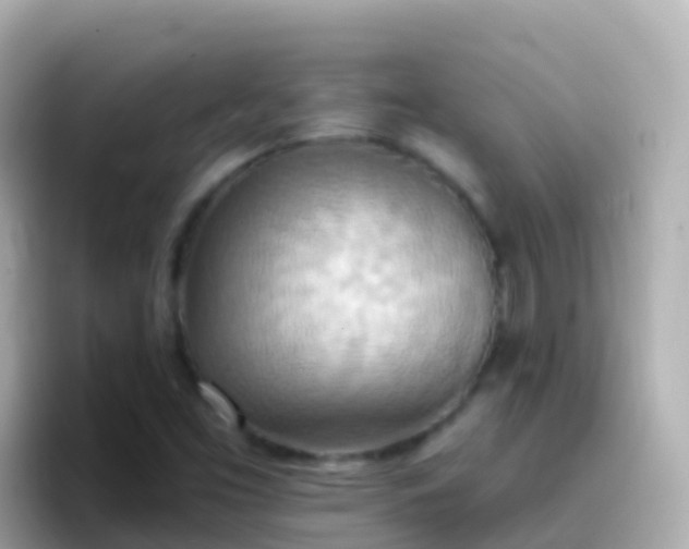 X0000096691453200802121222