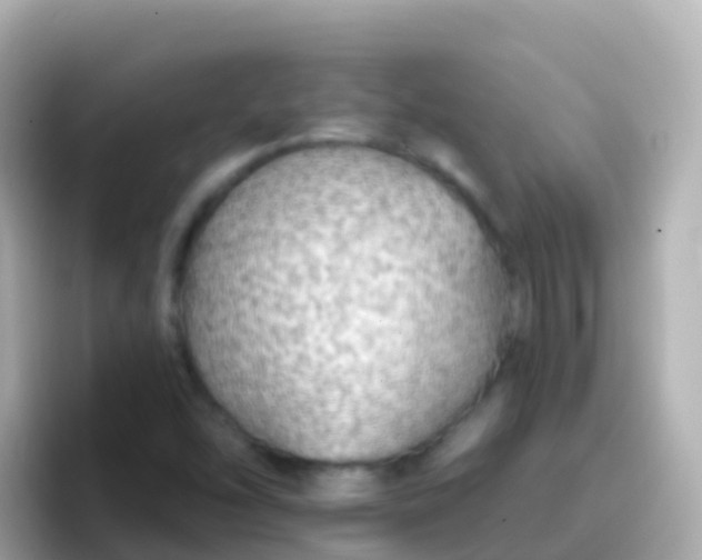 X0000096691454200802121222