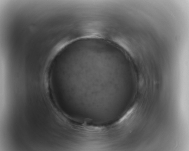 X0000096691455200802121222