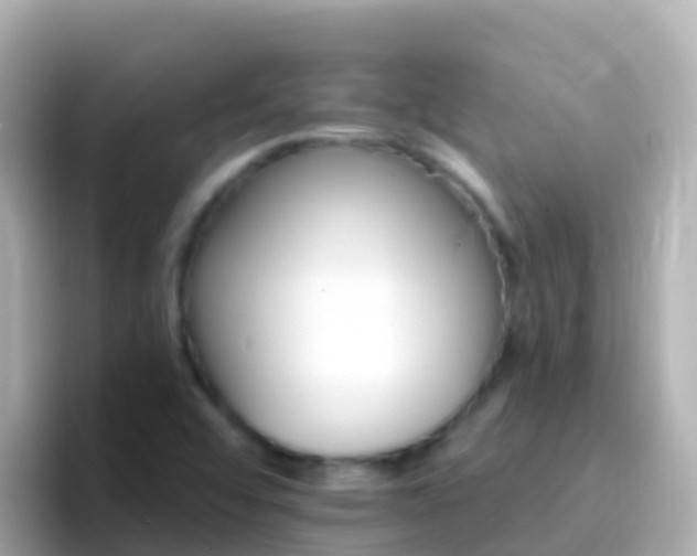 X0000096691456200802121222