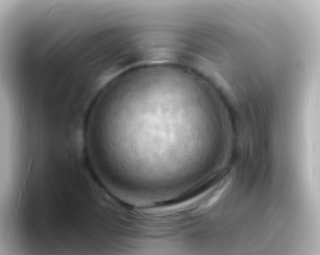 X0000096691457200802121222