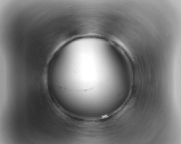 X0000096691460200802121222