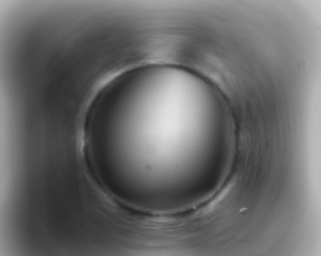 X0000096691461200802121222