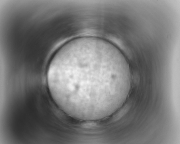 X0000096691462200802121222