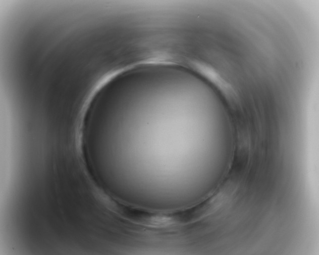 X0000096691463200802121222